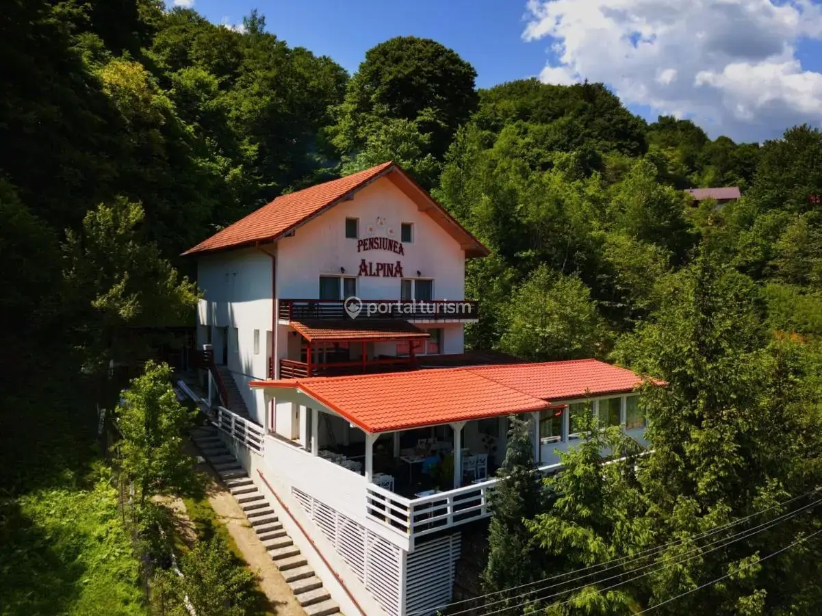 Pensiunea Alpina