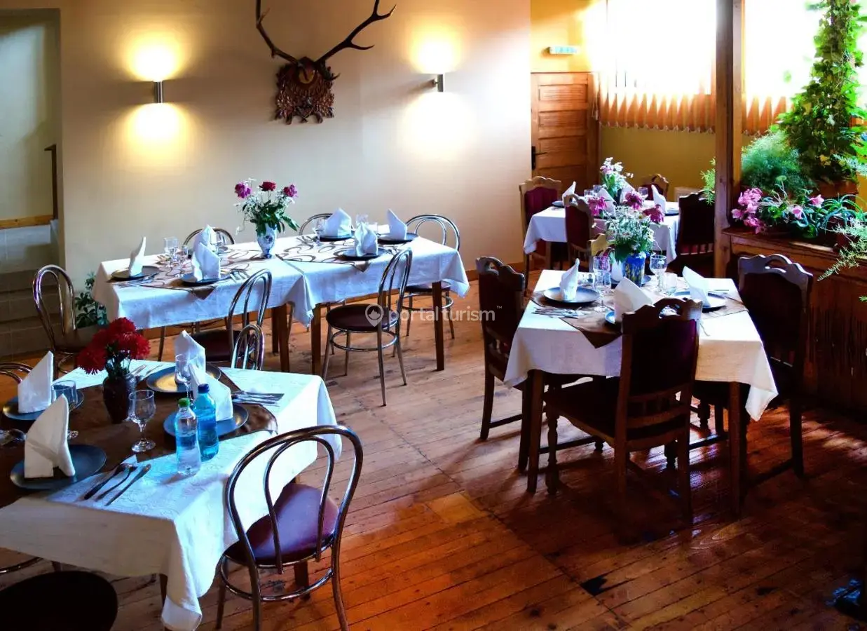 Pensiunea B&B Dumbrava