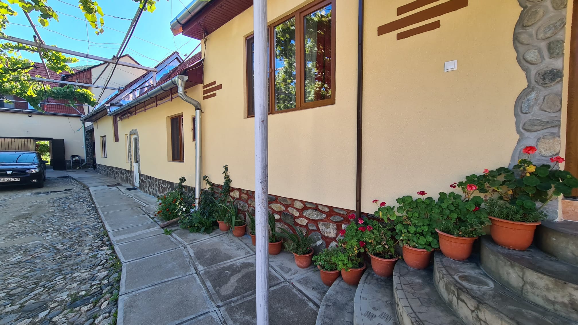 Cazare Pensiunea Brad