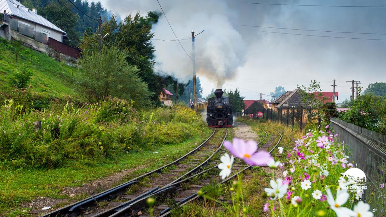 Szállás Pensiunea Bârsan