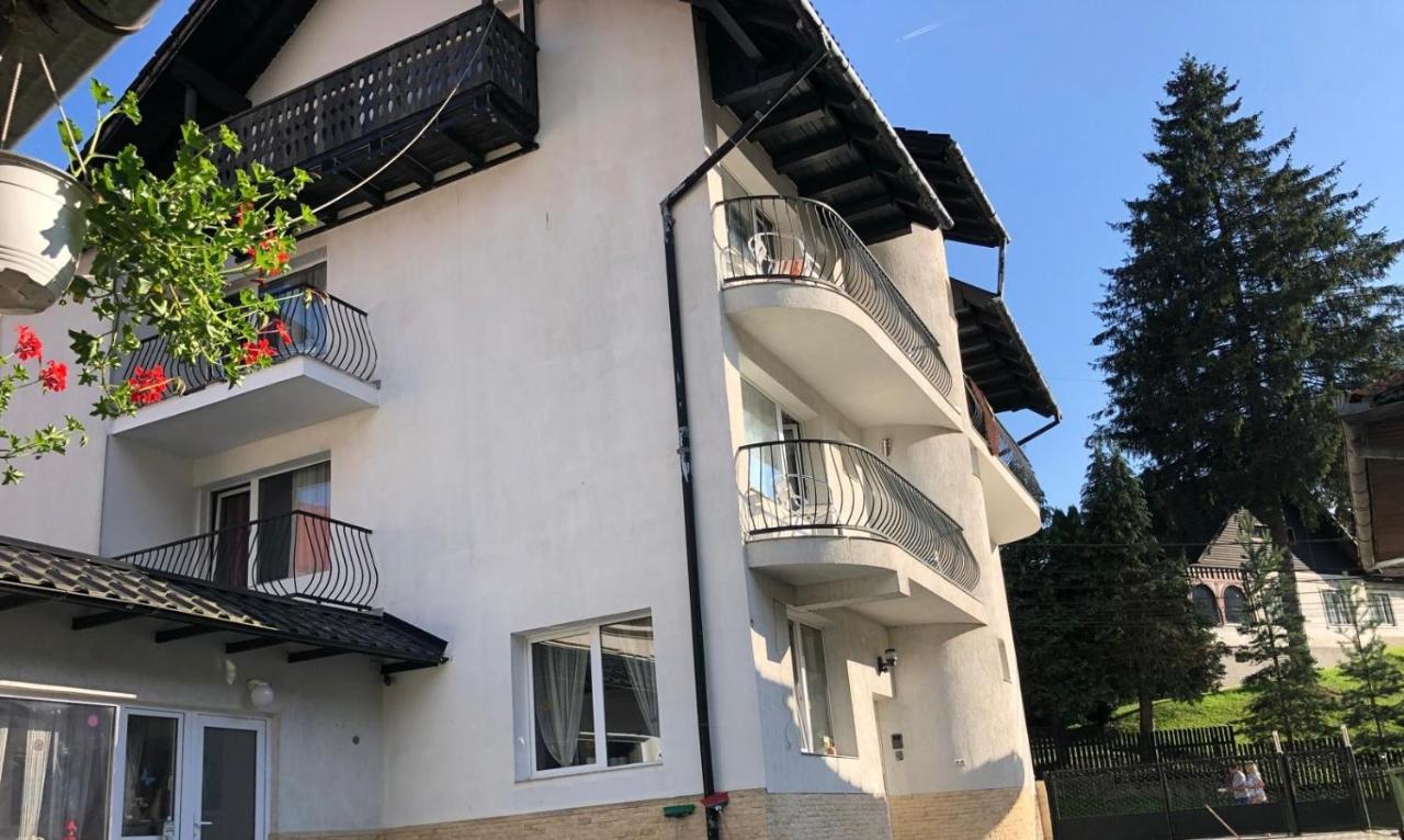 Szállás Pensiunea Carina