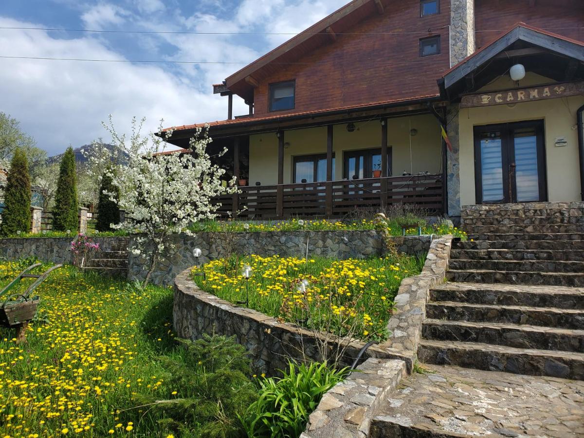 Cazare Pensiunea Carma