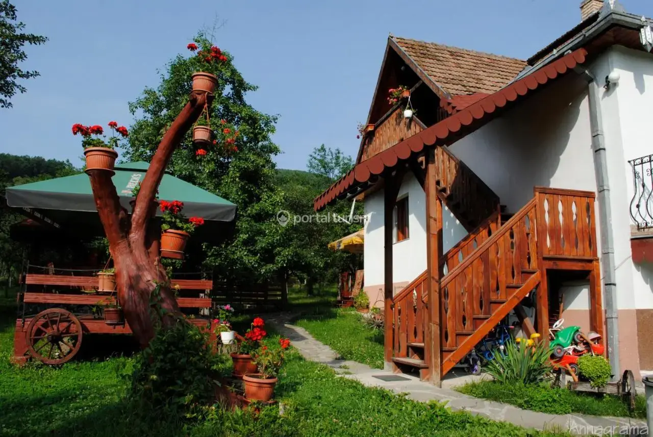 Pensiunea Casa Butnarului