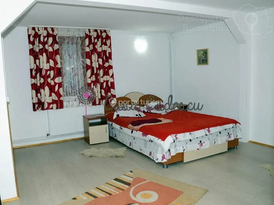 Pensiunea Casa Codescu