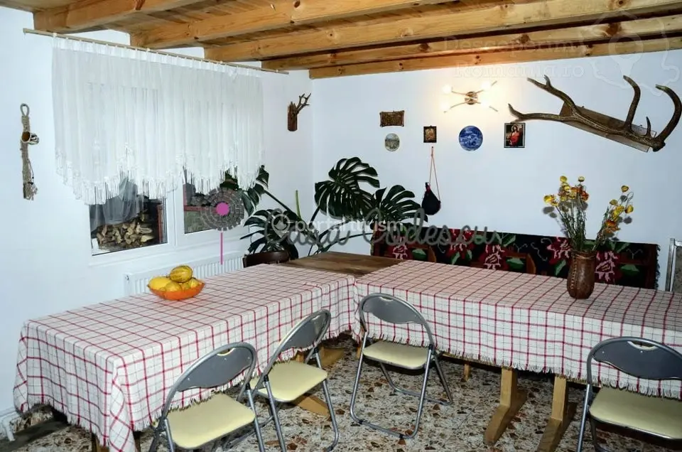 Pensiunea Casa Codescu