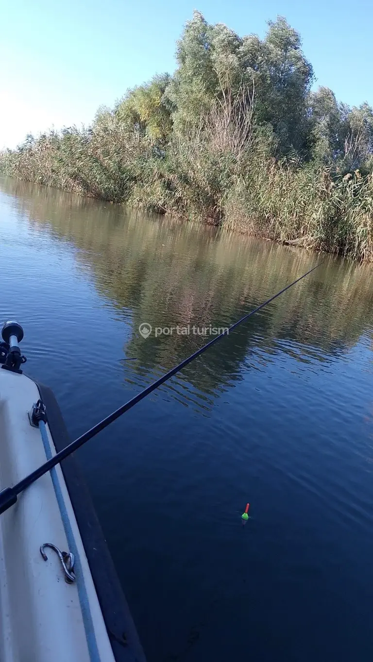 Pensiunea Casa David Si Maria