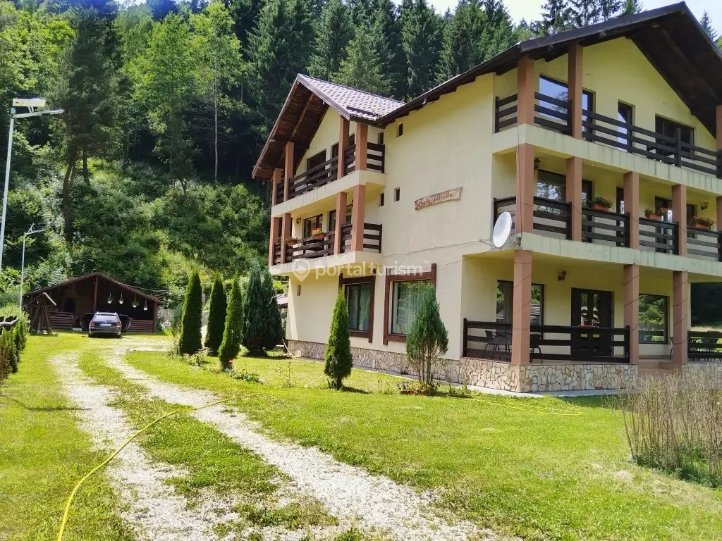 Pensiunea Cheile Săticului