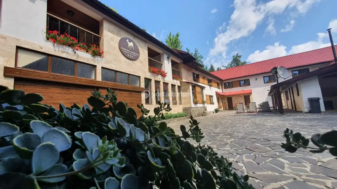 Pensiunea Complex Caprioara