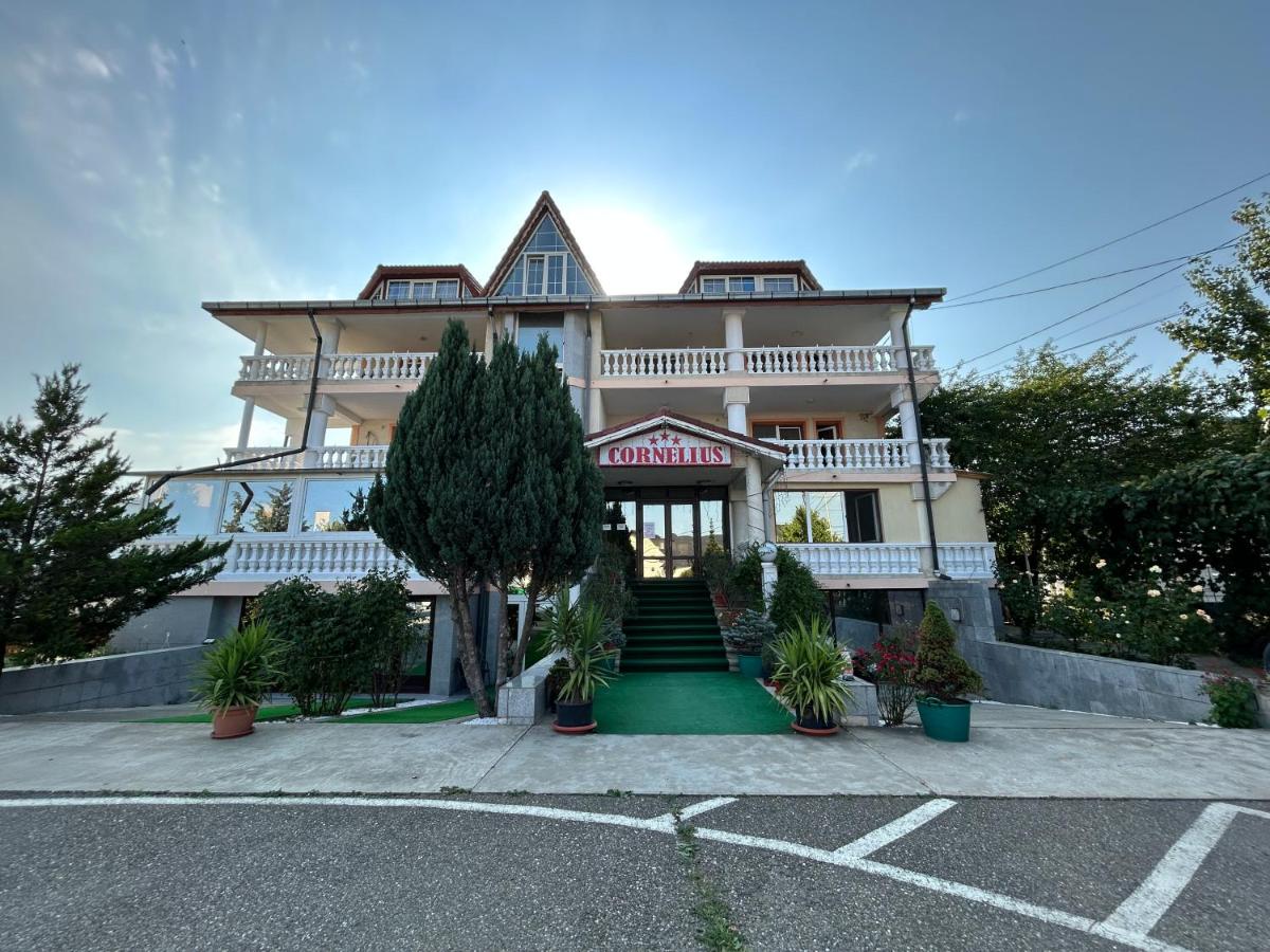 Cazare Pensiunea Cornelius