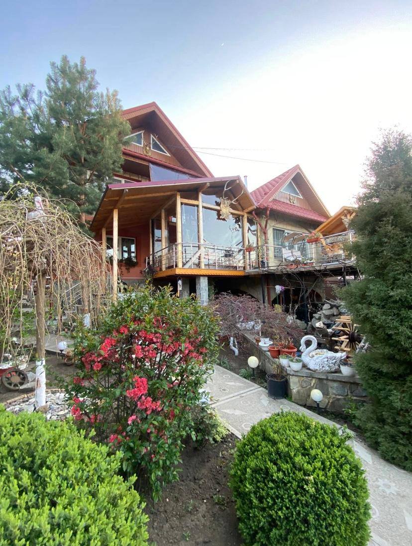 Hébergement Pensiunea Costina