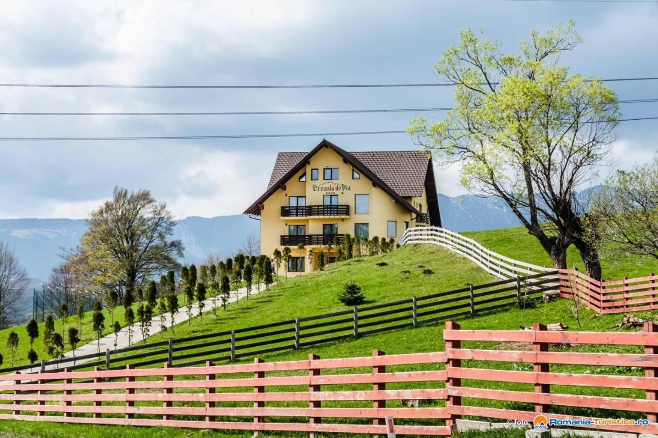 Cazare Pensiunea Creasta de Vis