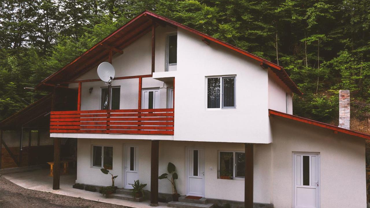 Alloggio Pensiunea Dana-Maria