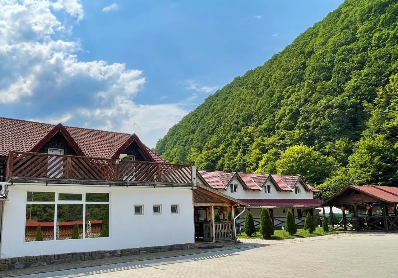 Cazare Salasu De Jos