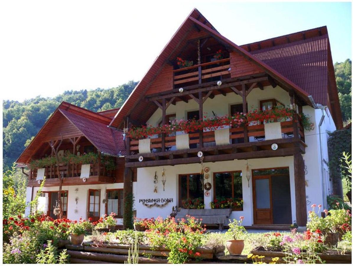 Cazare Pensiunea Doina