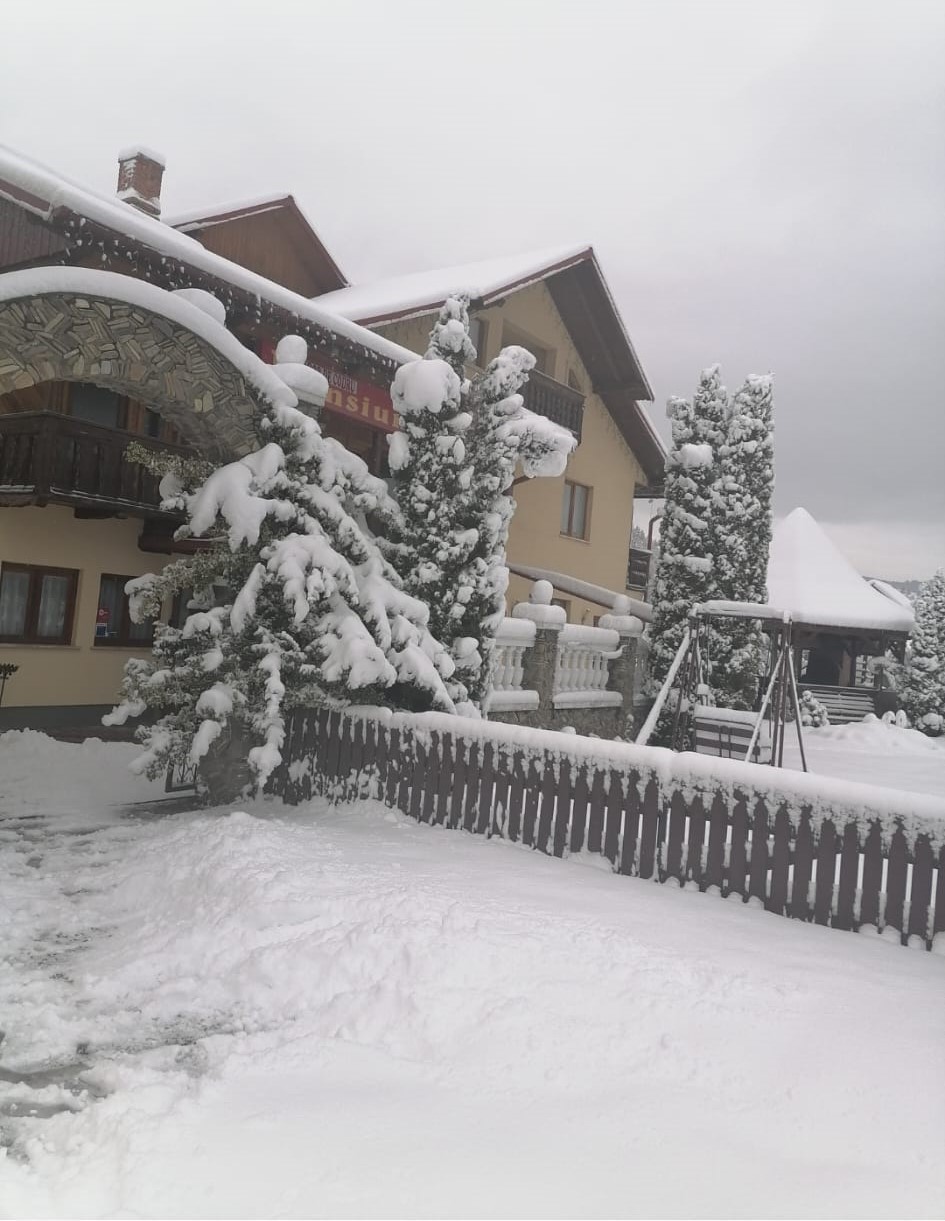 Cazare Pensiunea Dor de Codru