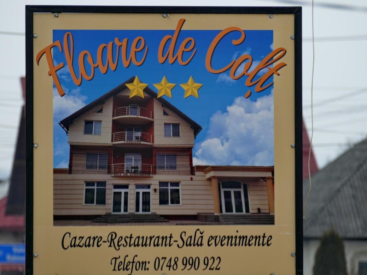 Cazare Pensiunea Floare De Colt