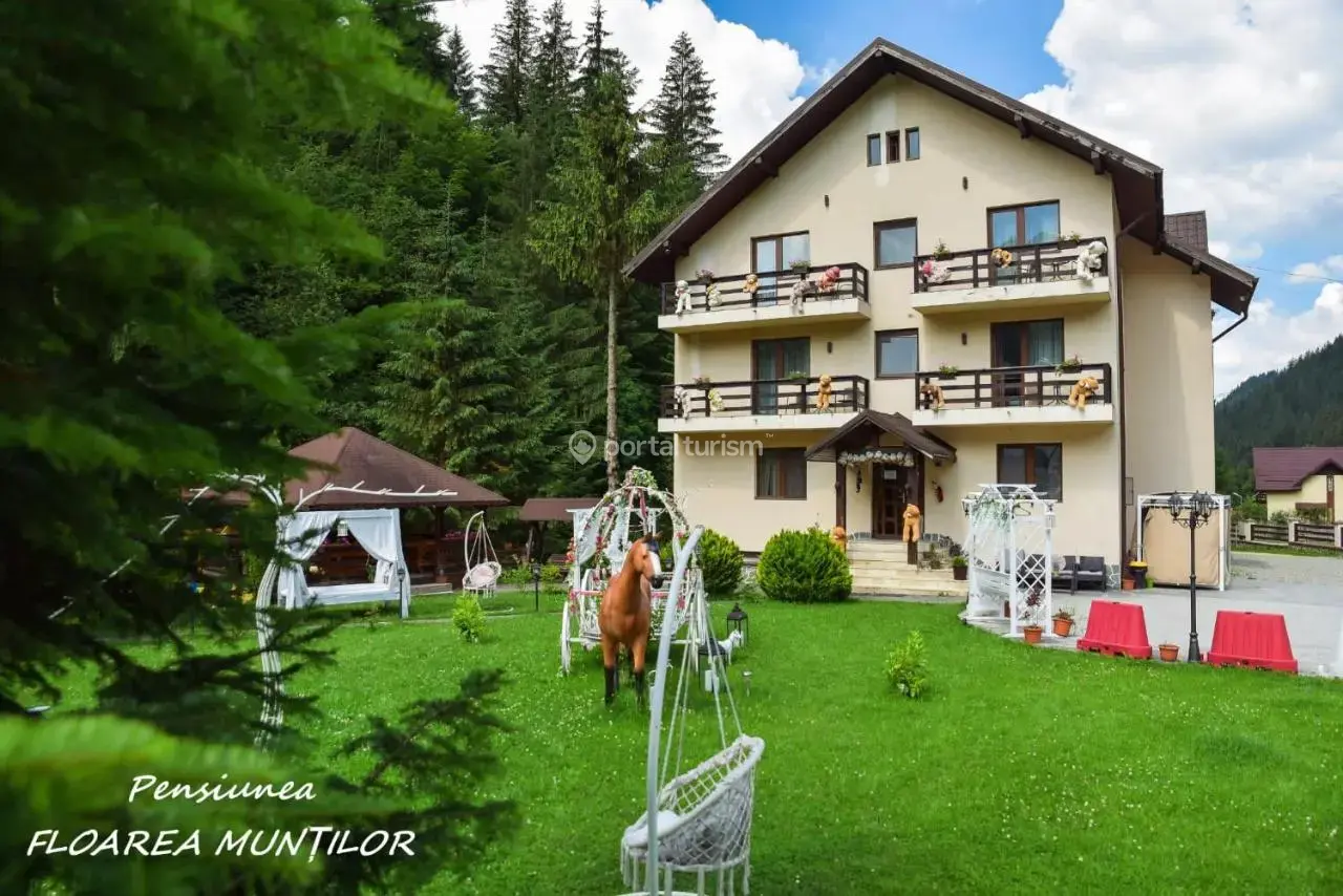 Pensiunea Floarea Munților