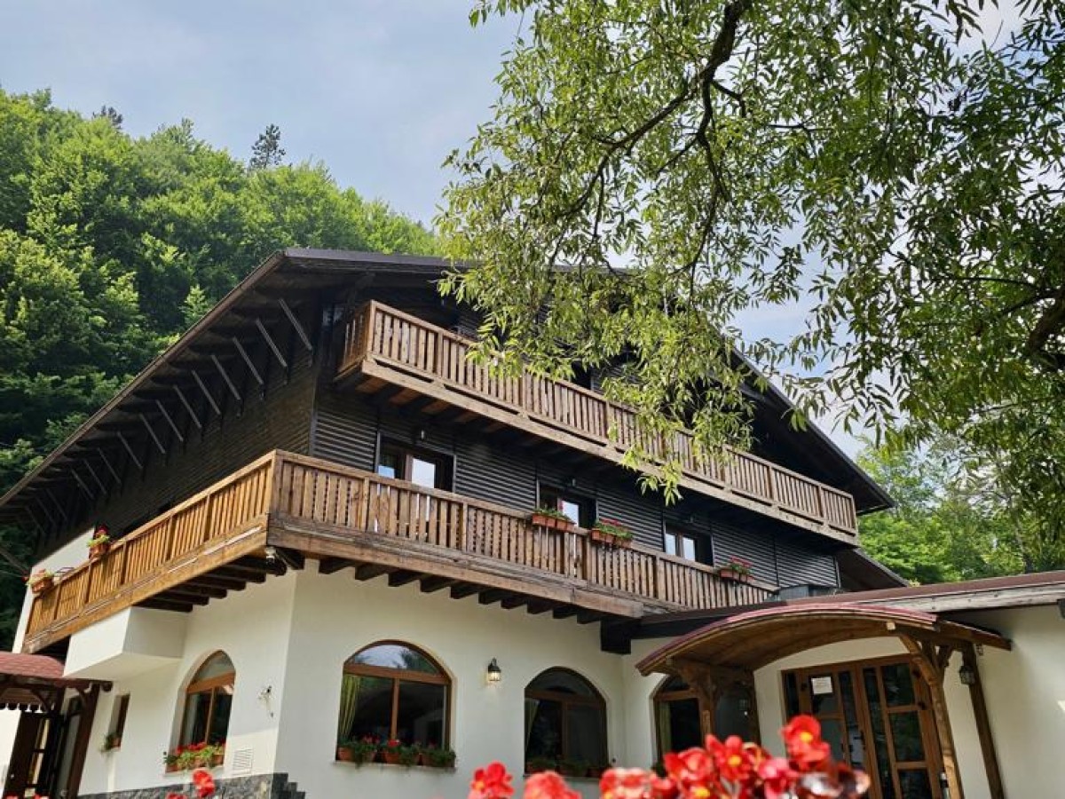 Unterkunft Pensiunea Hanu Brătcuței