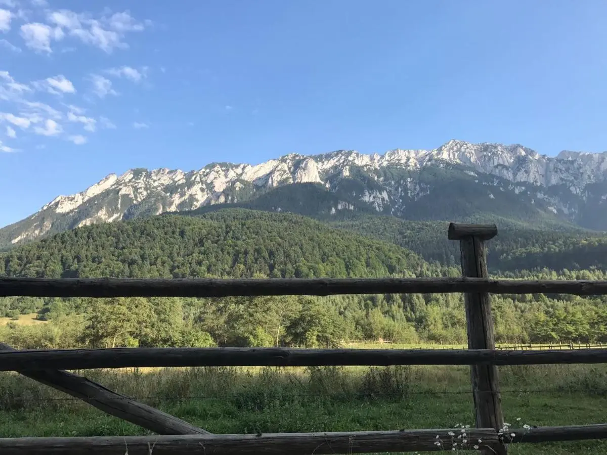 Cazare Valea Strambei