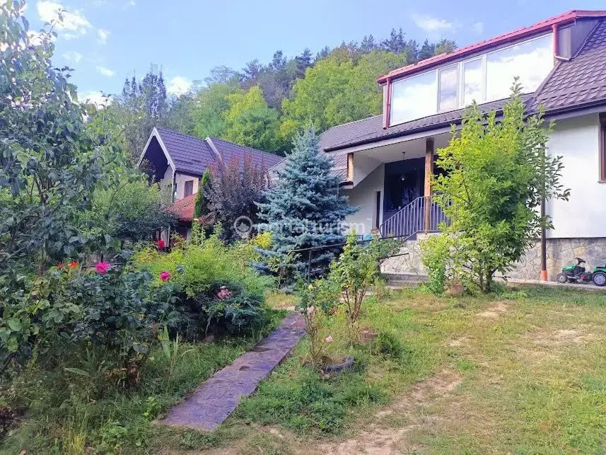 Pensiunea Lake Residence