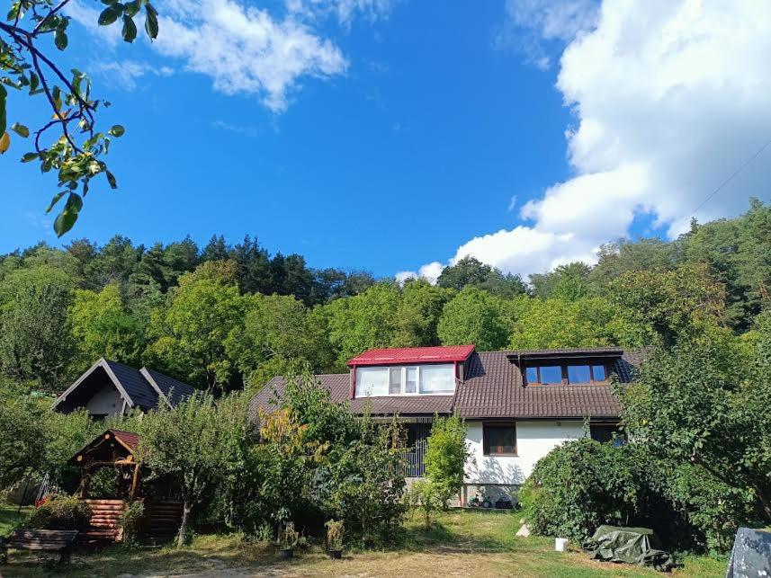 Accommodation Pensiunea Lake Residence