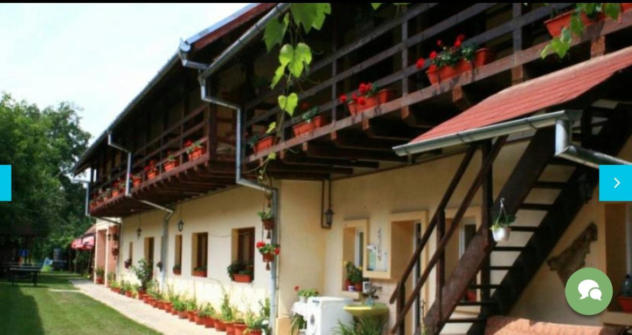 Cazare Pensiunea Leia