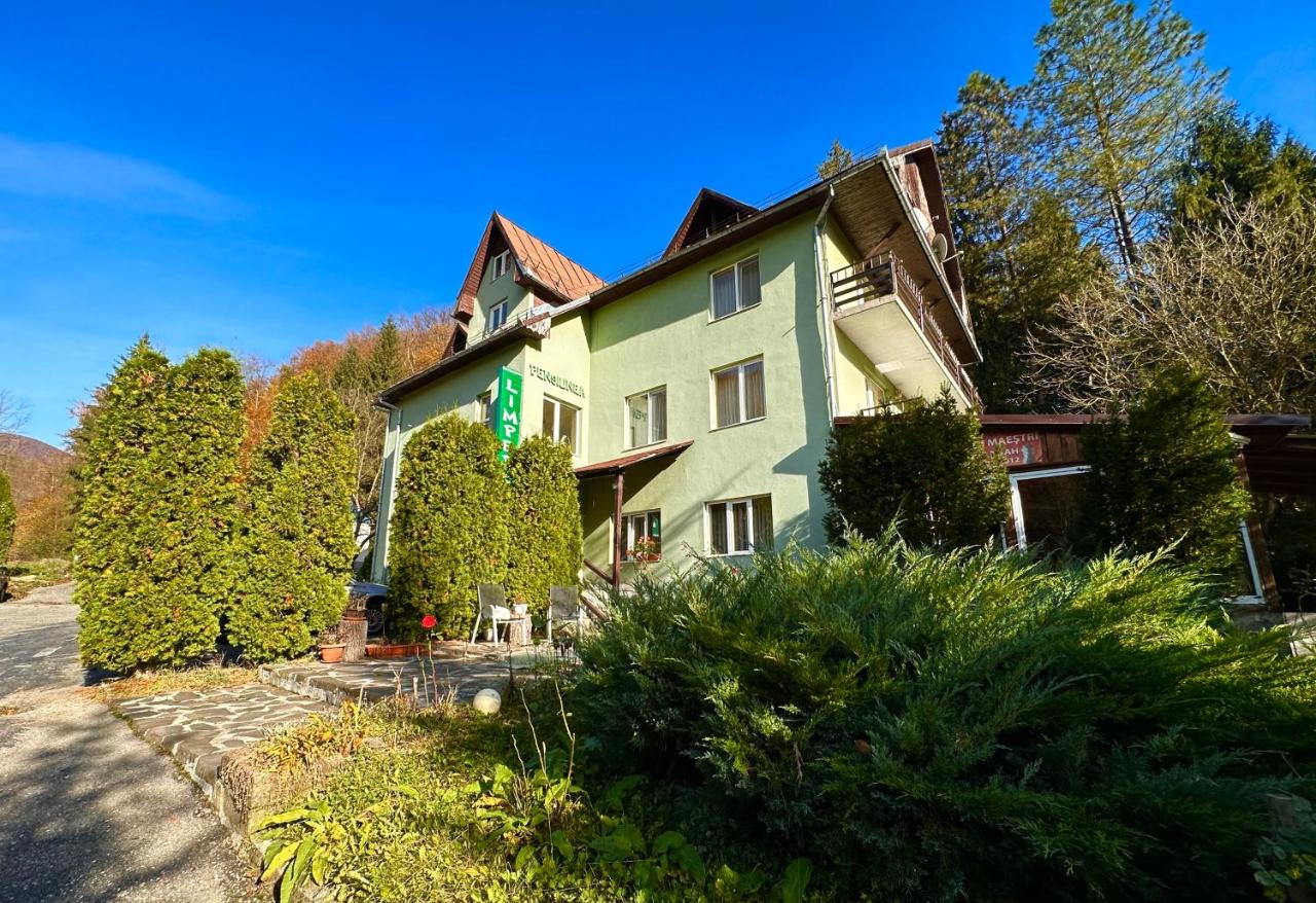 Unterkunft Pensiunea Limpedea