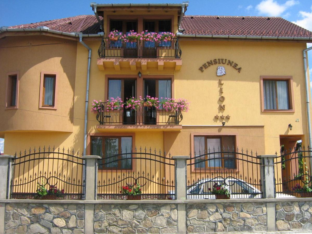 Cazare Pensiunea Lion