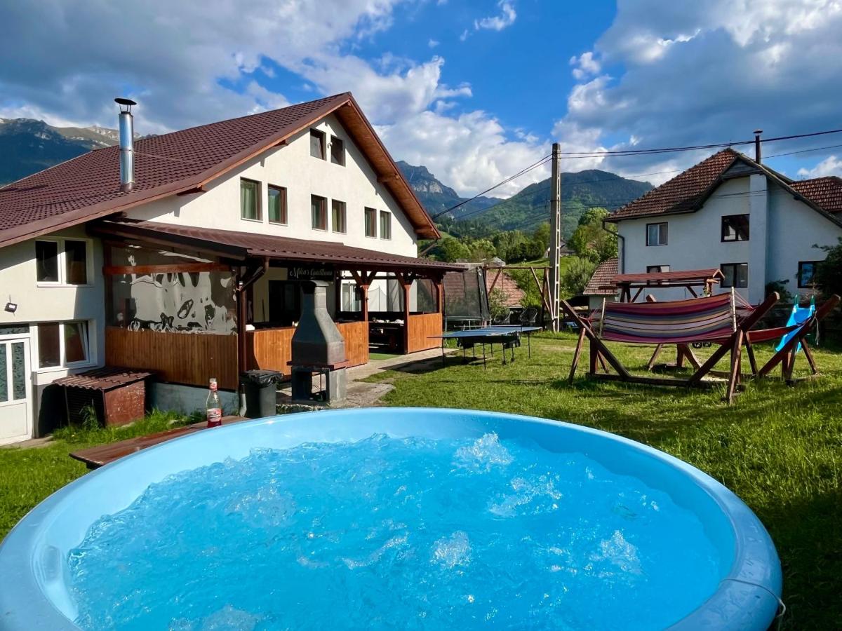 Accommodation Pensiunea Milea's Guesthouse