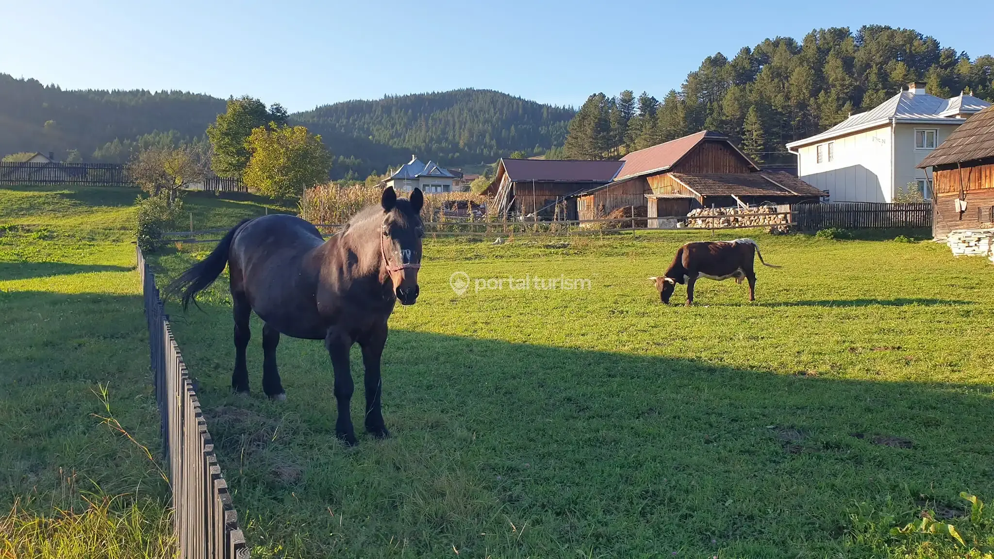 Pensiunea Musata Bucovinei