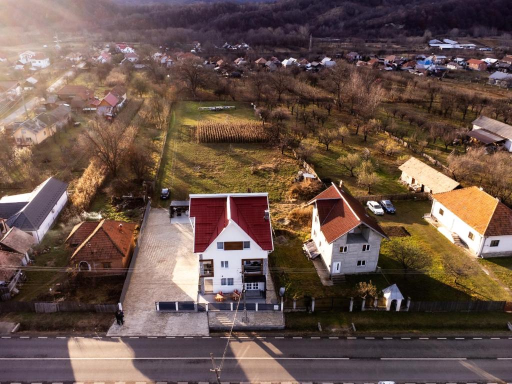 Cazare Pensiunea Nicolescu Spa