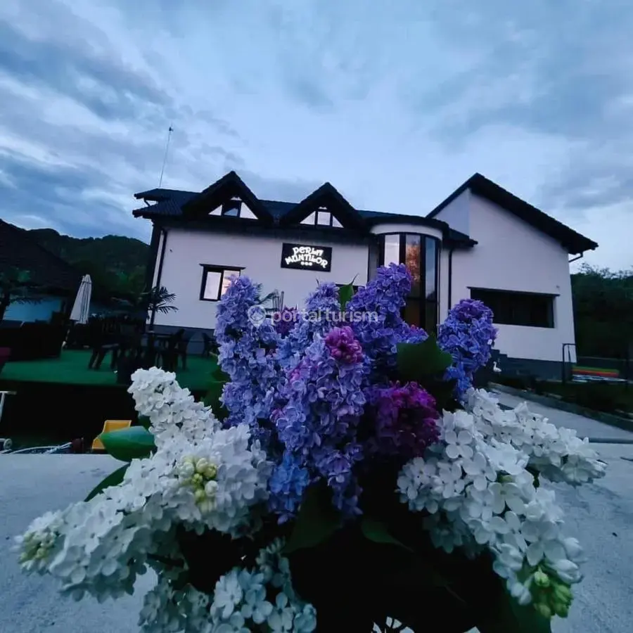 Pensiunea Perla Munților