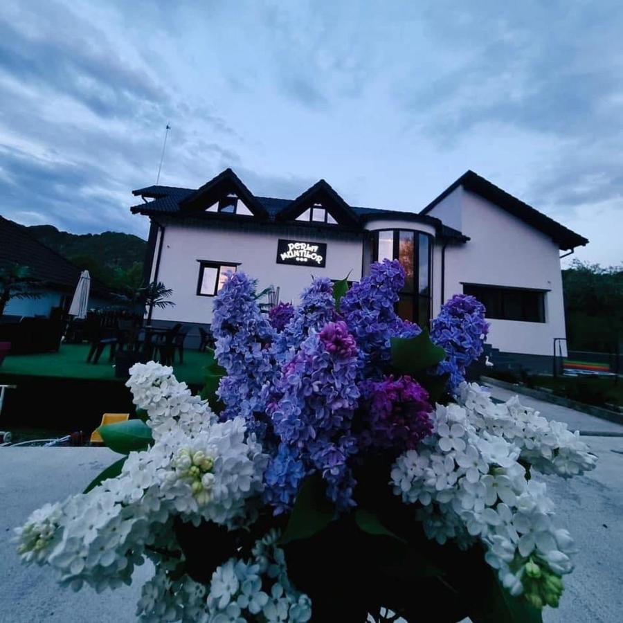 Cazare Pensiunea Perla Munților