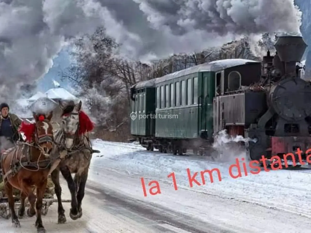 Pensiunea Piatra Șoimului Vișeu de Sus