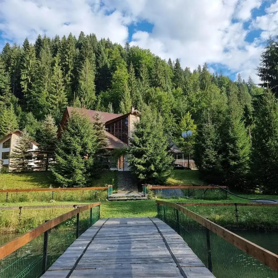 Accommodation Poiana Teiului