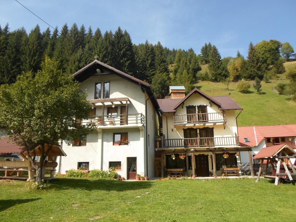 Cazare Pensiunea Puiu