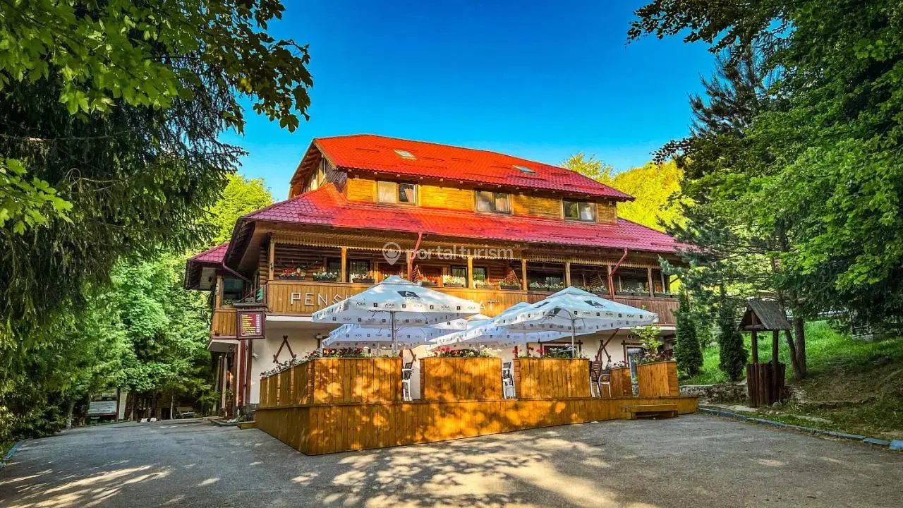 Pensiunea Retezat