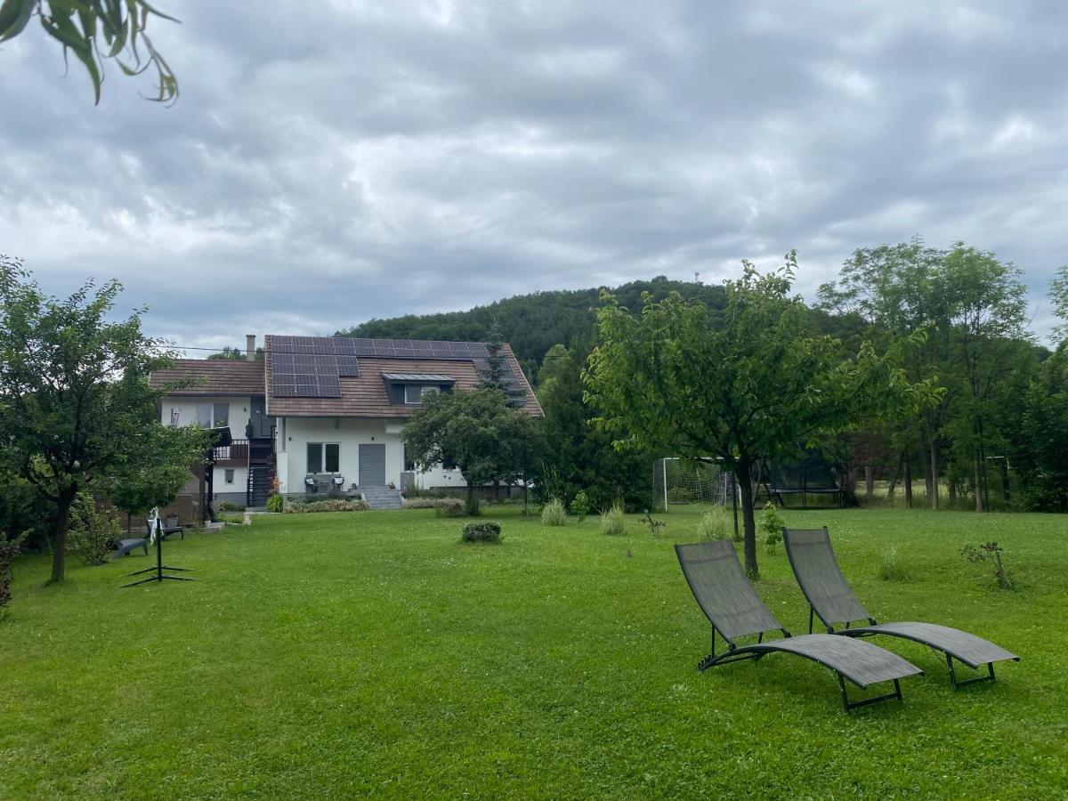 Hébergement Pensiunea Sovirag