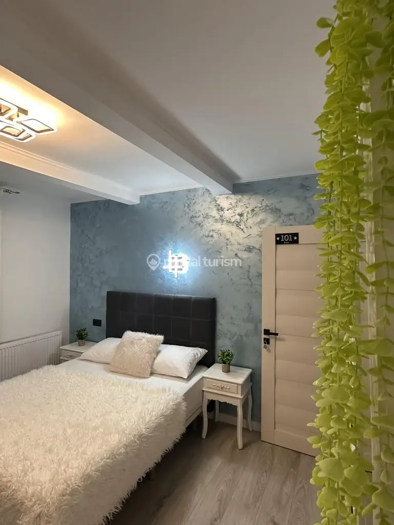 Pensiunea Stelele Oltului