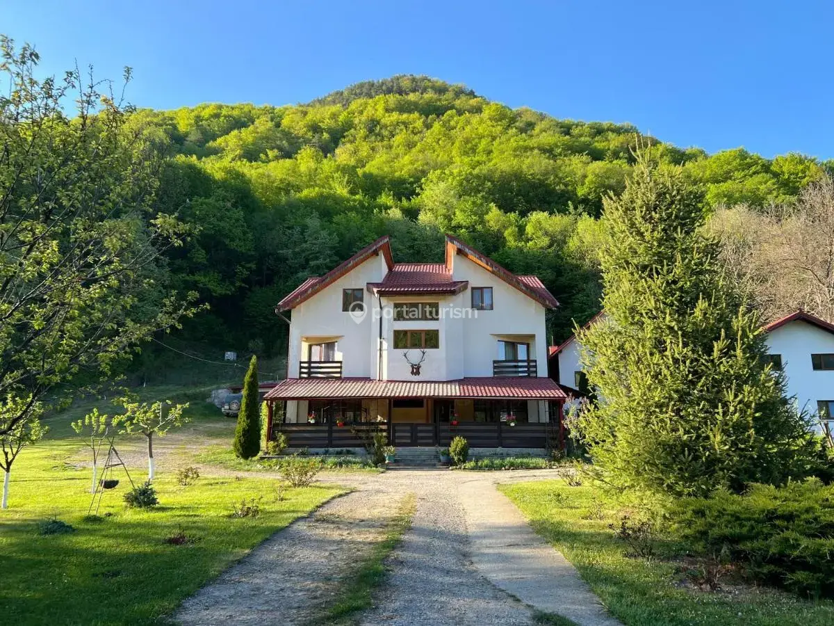 Pensiunea Todi Mansion