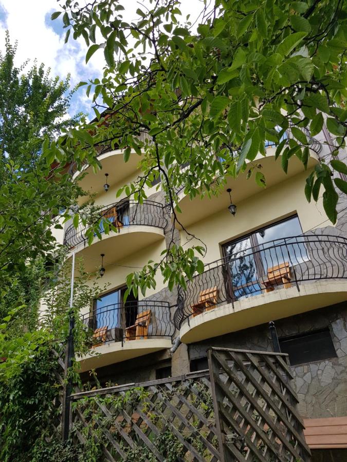 Cazare Pensiunea Top Demac