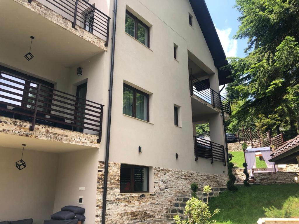 Cazare Pensiunea Tressor