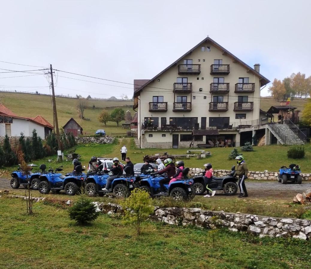 Hébergement Pensiunea Ursul Cârcotaș