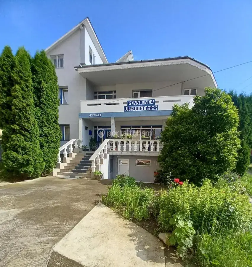 Pensiunea Ursuleț