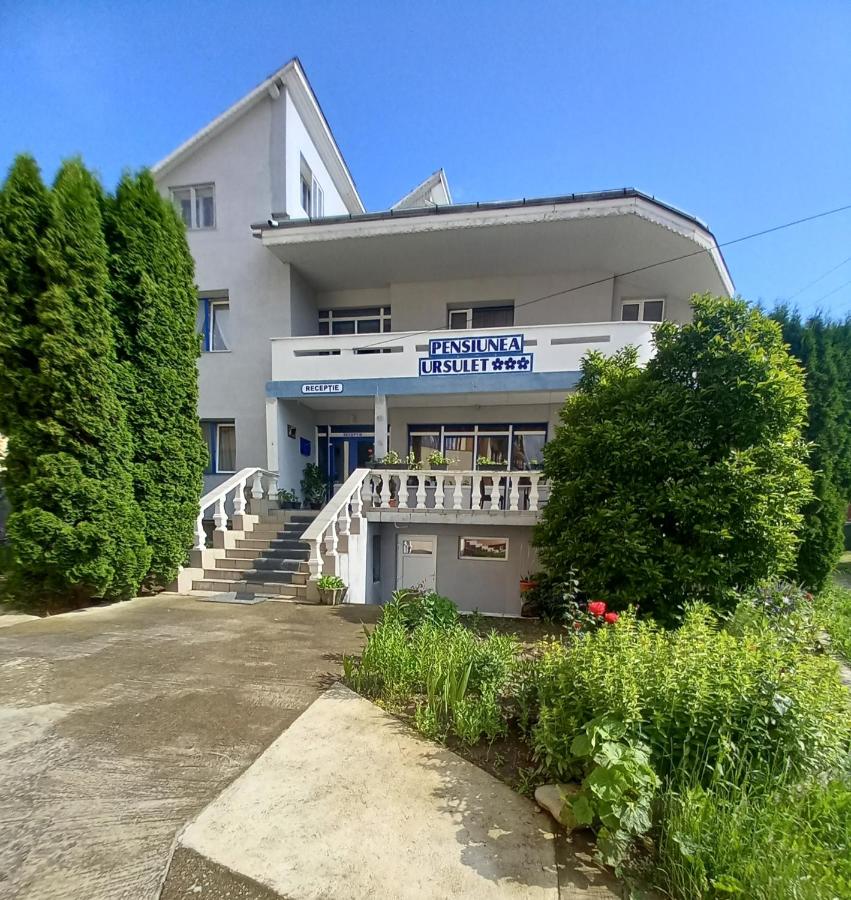 Cazare Pensiunea Ursuleț