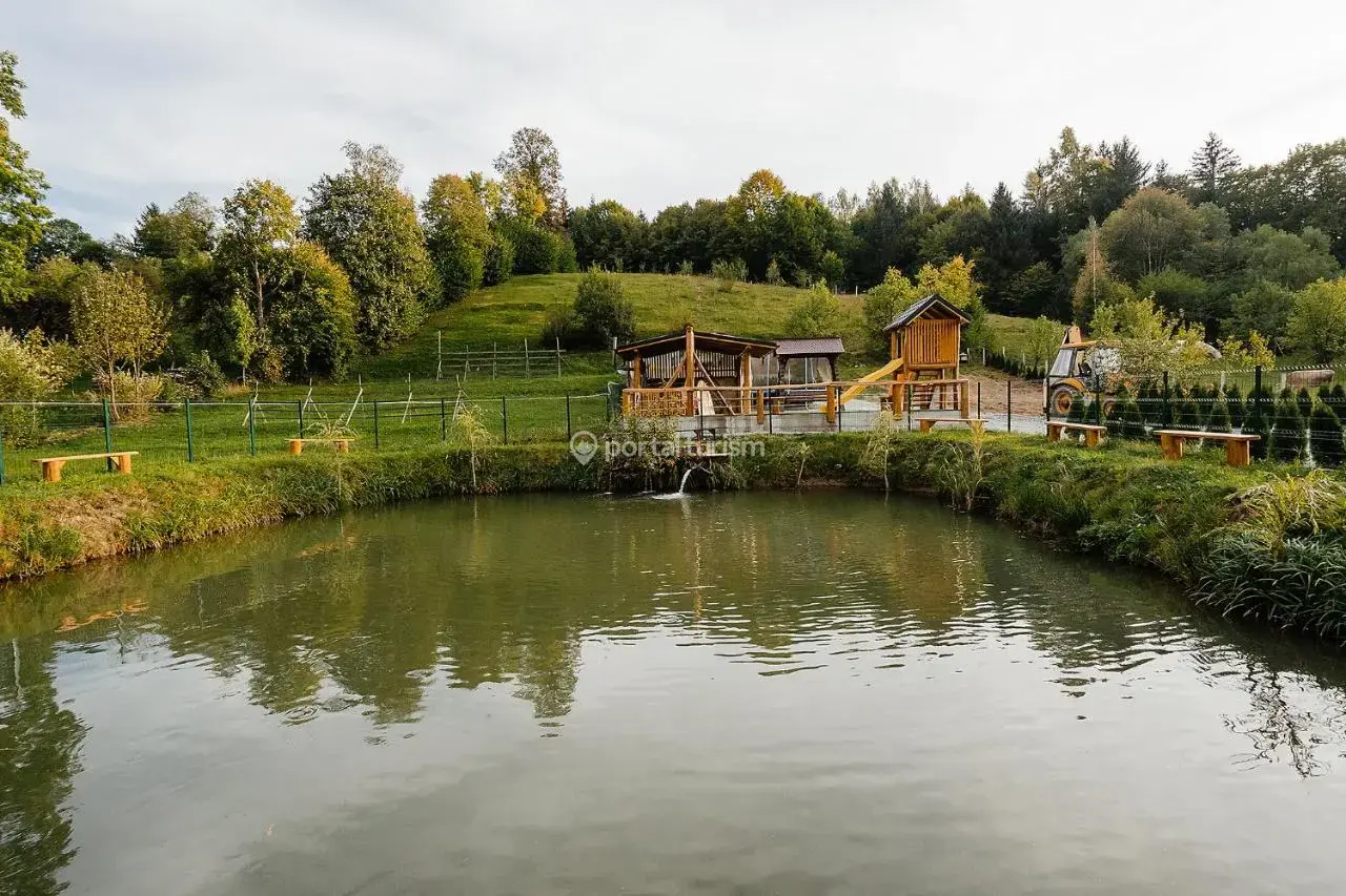 Pensiunea Vox Moisei