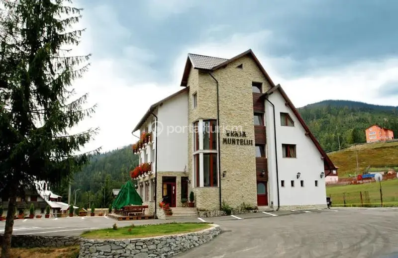 Pensiunea Vraja Muntelui