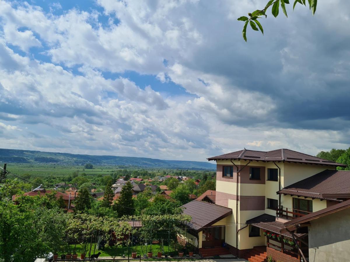 Cazare Pensiunea În Vârful Dealului