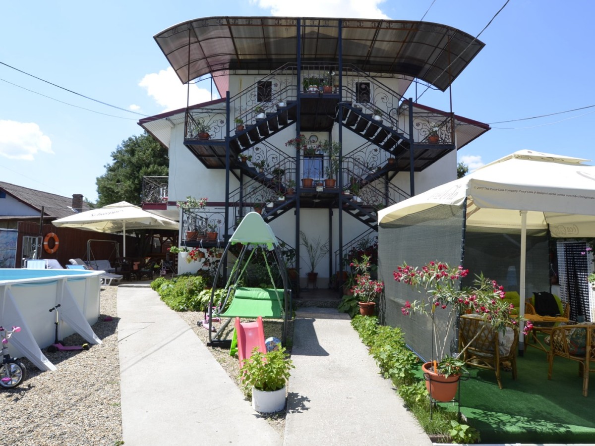 Hébergement Pensiunea Robert