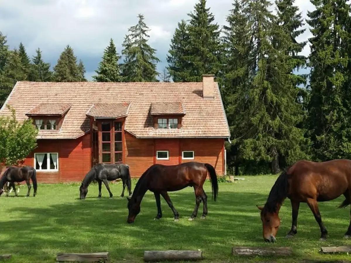 Pensiunea Sopárkút